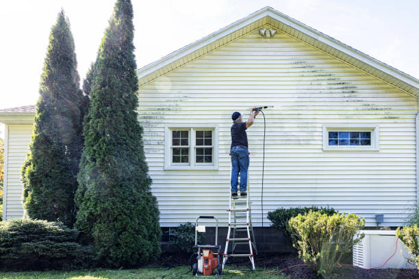 Best Dumpster Area Cleaning  in Evansville, IN